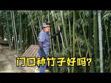 門前種竹子|【門前種竹子】門前種竹，風水大忌！六點標籤，不能忽視